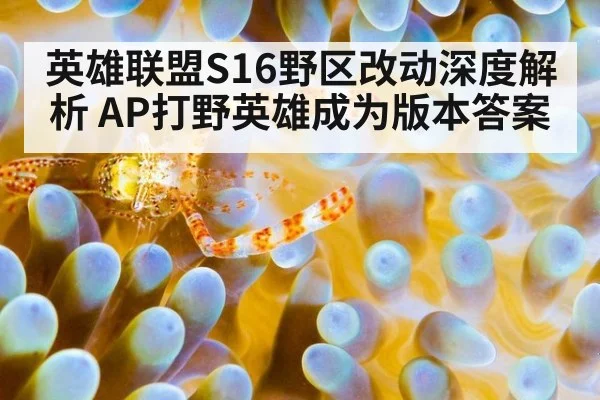 英雄联盟S16野区改动深度解析 AP打野英雄成为版本答案