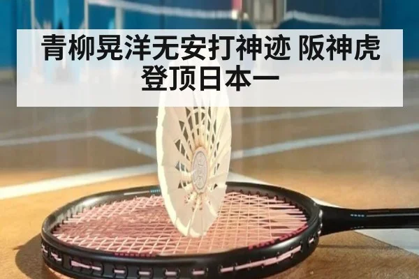 青柳晃洋无安打神迹 阪神虎登顶日本一